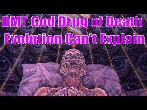 DMT God Drug of Death Evolution Can't Explain | By Brett Keane