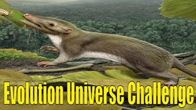Brett Keane Evolution Universe Challenge for @AdamLore @AtheistJr @criticalbasedtheory2983 @AronRa