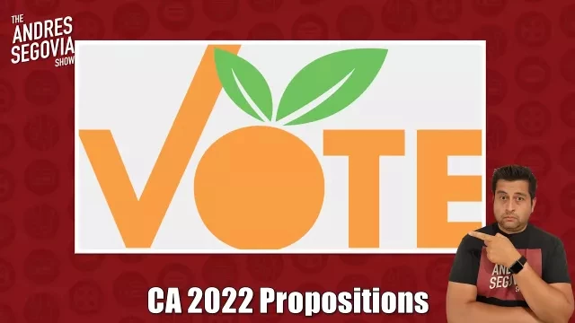 Your Guide To The 2022 California Ballot Measures