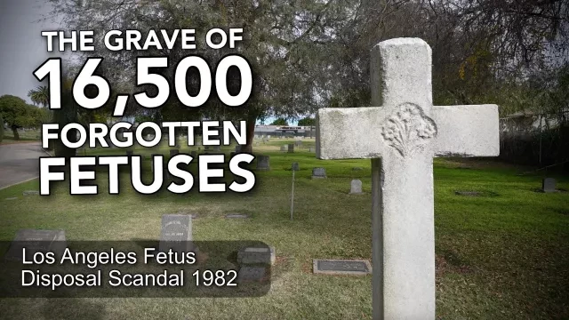 The Grave of 16,500 Forgotten Fetuses - Los Angeles Fetus Disposal Scandal 1982  4K