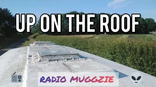 THE DRIFTERS - UP ON THE ROOF - MUGGZIE STYLE
