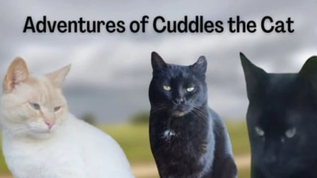 Adventures of Cuddles the Cat