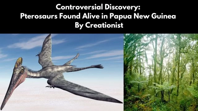 Controversial Discovery:  Pterosaurs Found Alive in Papua New Guinea By Creationist